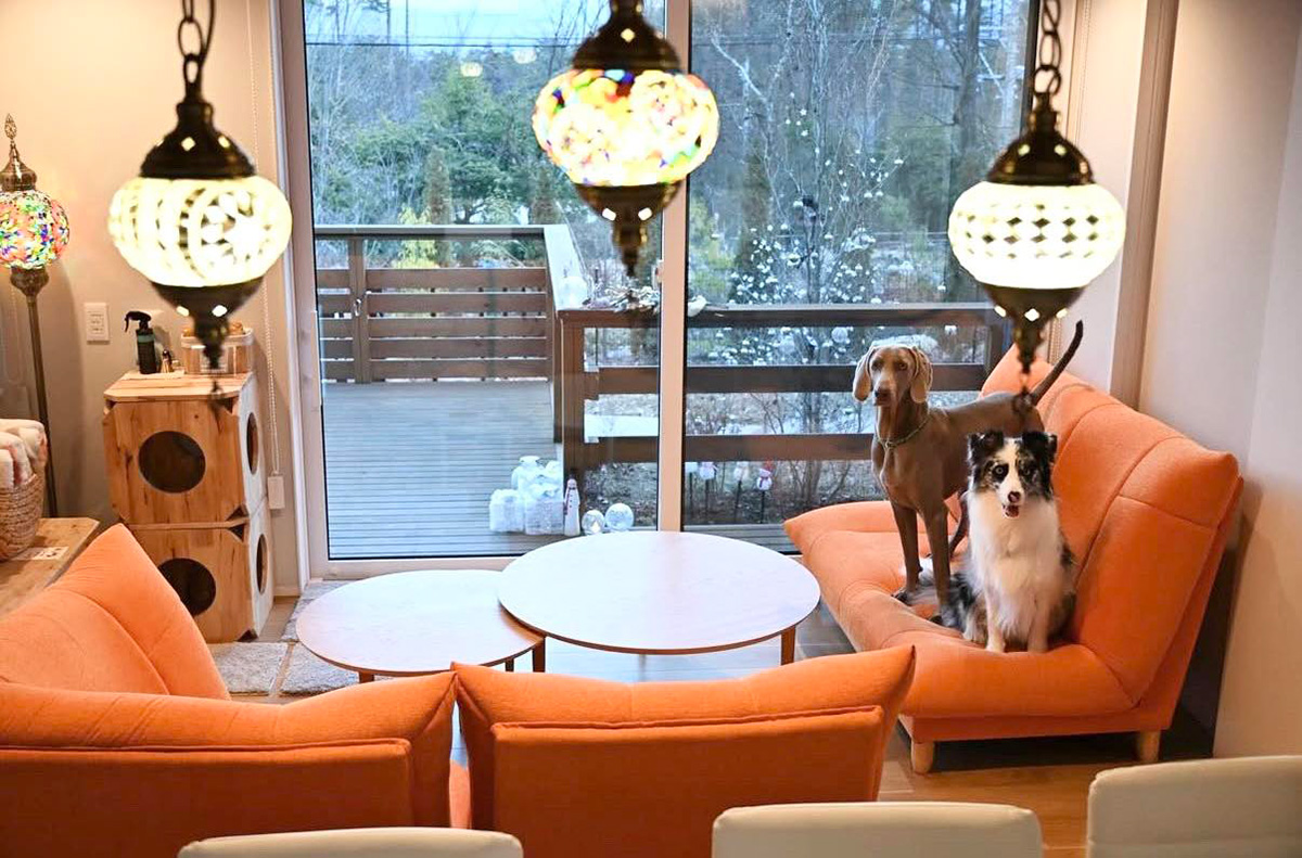 行動制限ありません