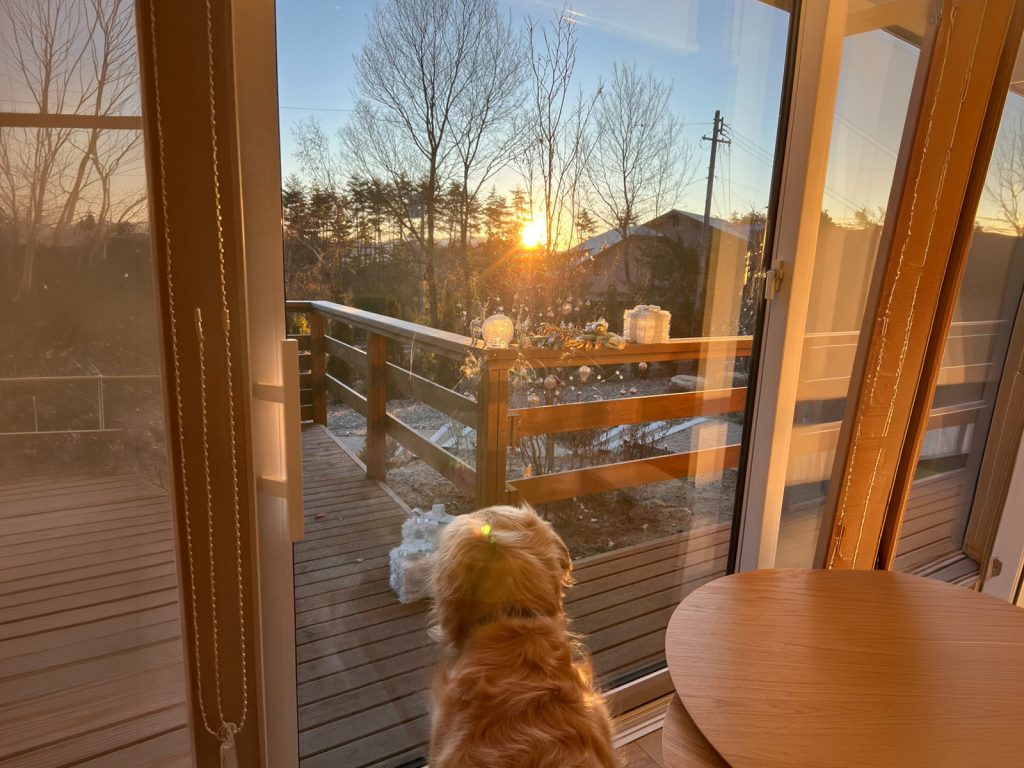 朝日で目覚める