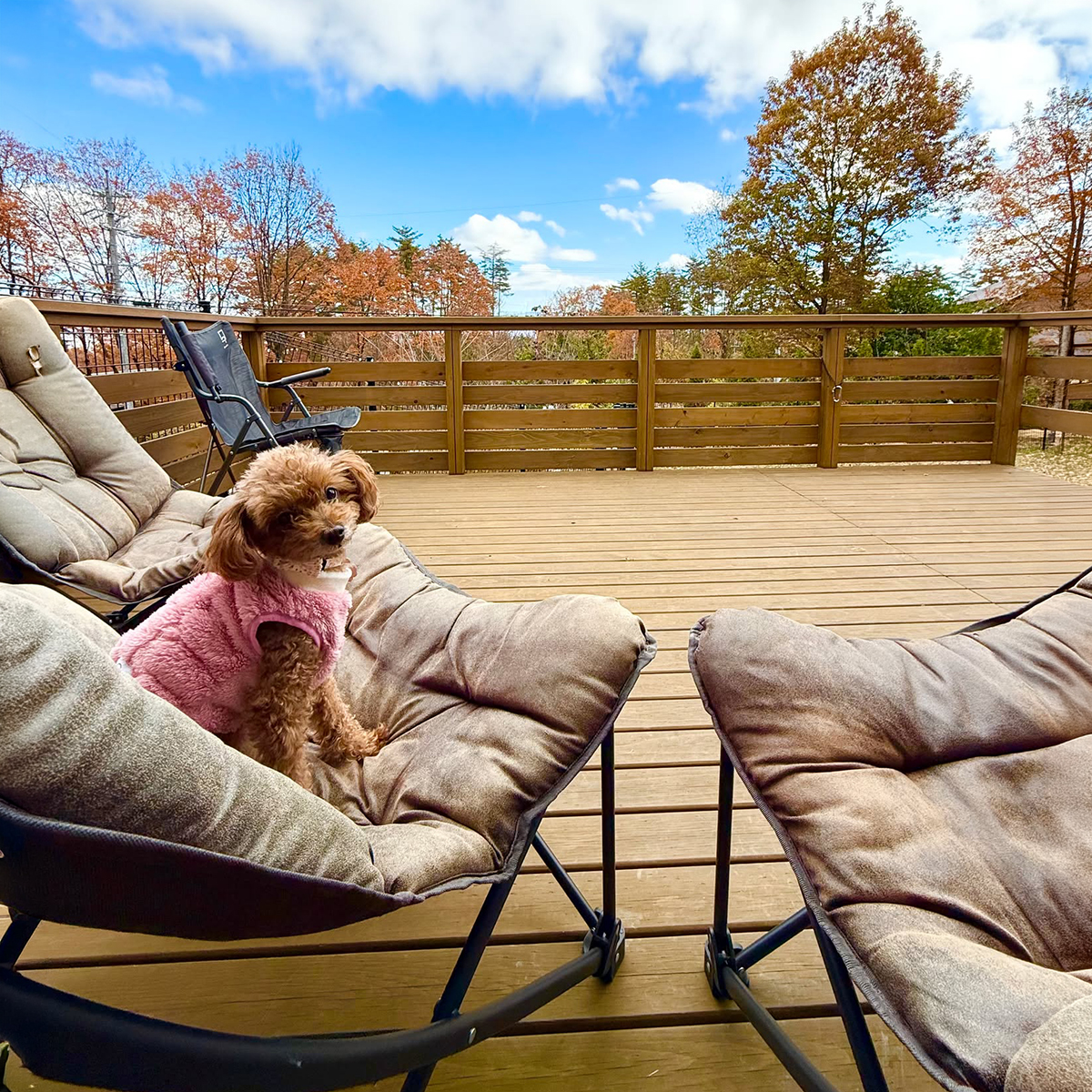 景色を眺める広々デッキ