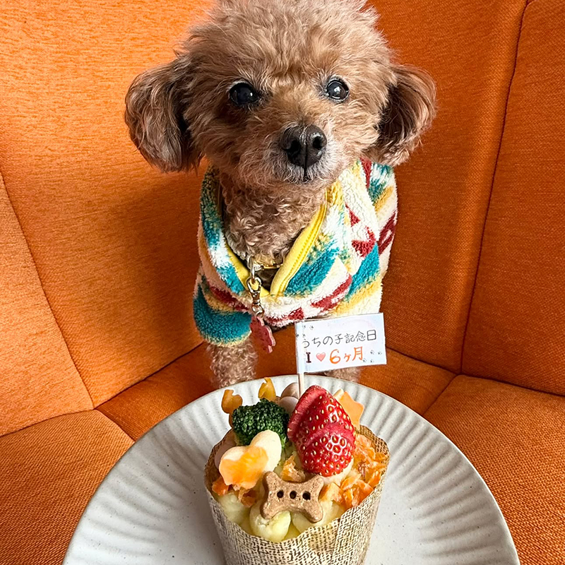 記念日のお祝いデコレーション