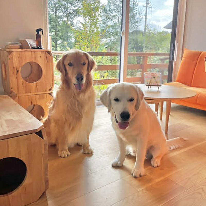 大型犬の多頭の我が家はありがたかった!