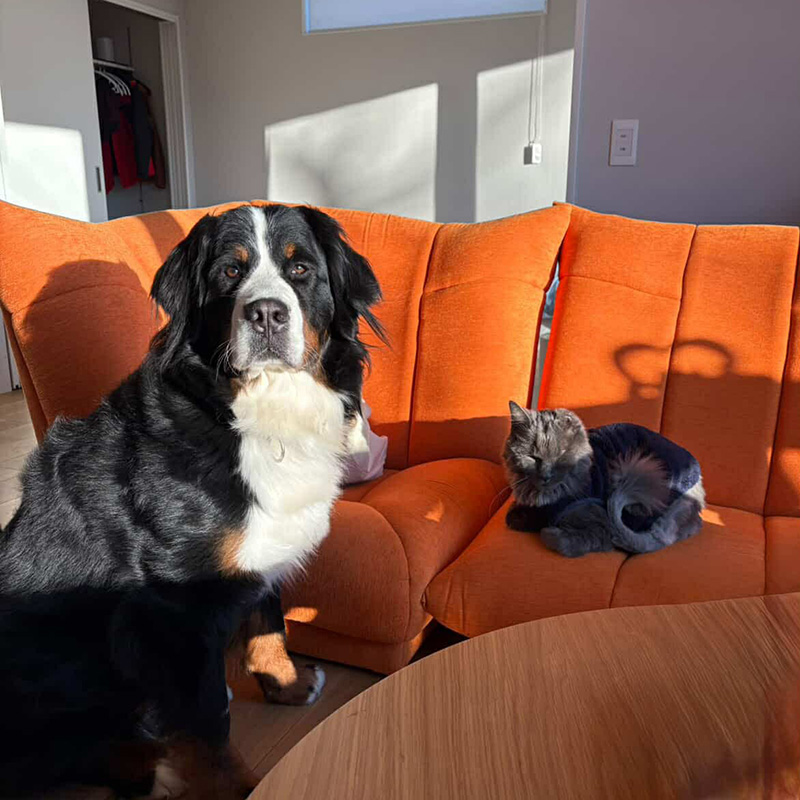 心洗われるようでした